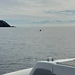 Vue Sur La Presqu'ile De Giens Hyères