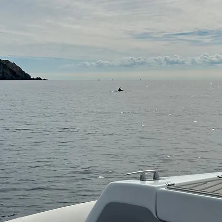 Vue Sur La Presqu'ile De Giens Єр