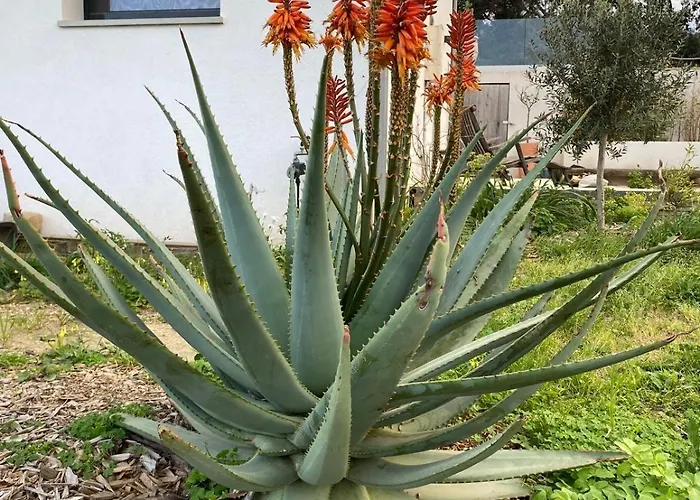Casa vacanze Vue Sur La Presqu'ile De Giens Hyères