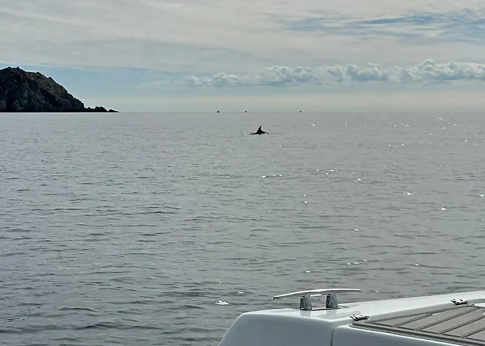 Vue Sur La Presqu'ile De Giens Hyères