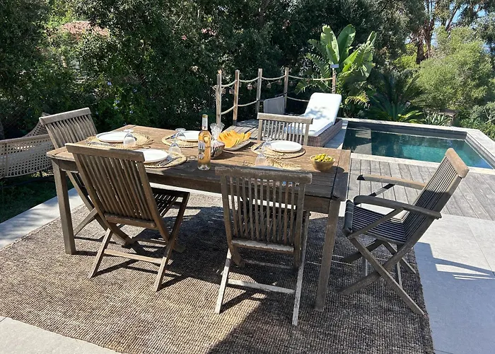 Vue Sur La Presqu'ile De Giens *